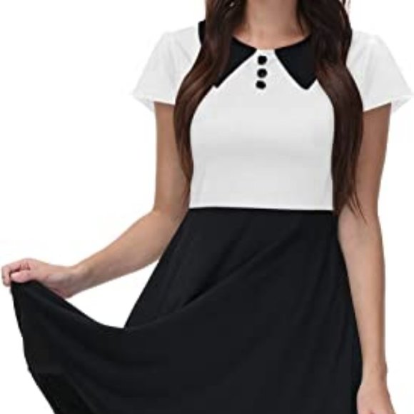 Women's Short Sleeve Peter Pan Collar Fit and Flare Skater Dress - Picture 4 of 4